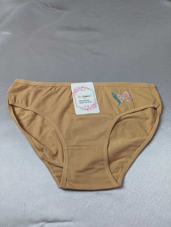 Calzon Bikini - Imagen 2